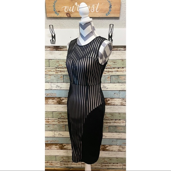 L'atiste by Amy Womens Dress Black Sleeveless Stripe Sheer Top Sheath Mini Med - Picture 4 of 8